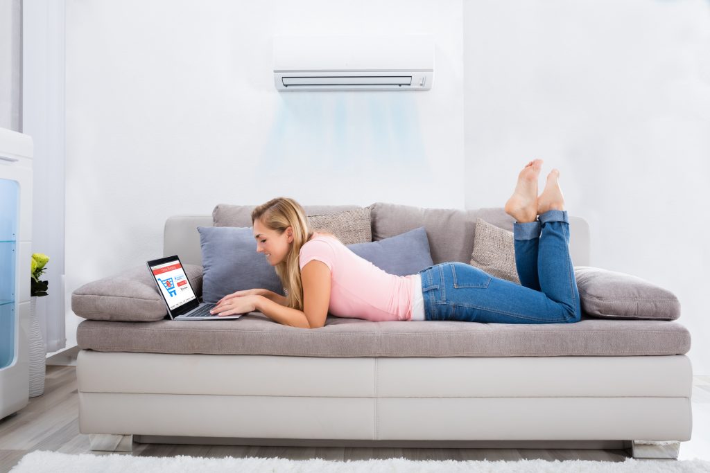 ductless air conditioner in living room