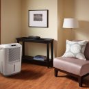 Dehumidifier improving home living room
