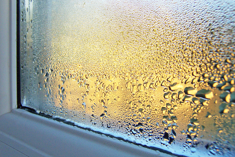 Dehumidifier for whole house for condensation.